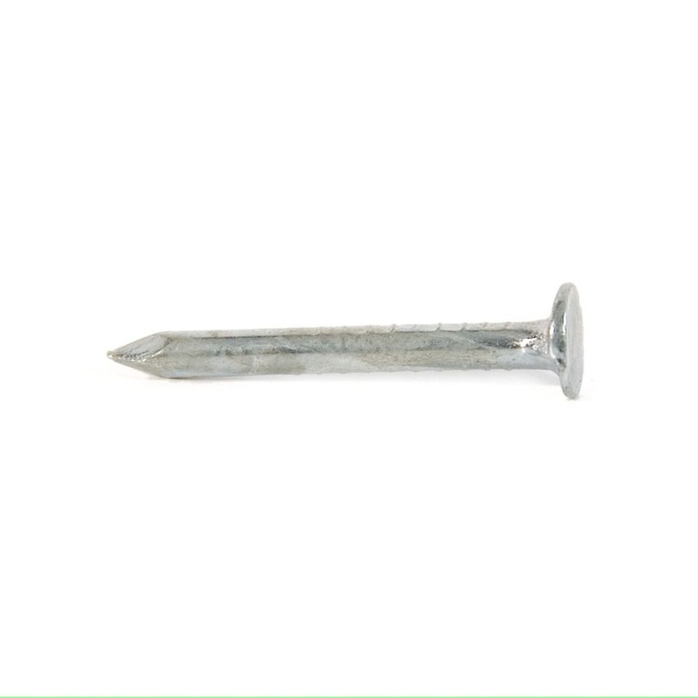 Clout Nail 25mm (1kg)