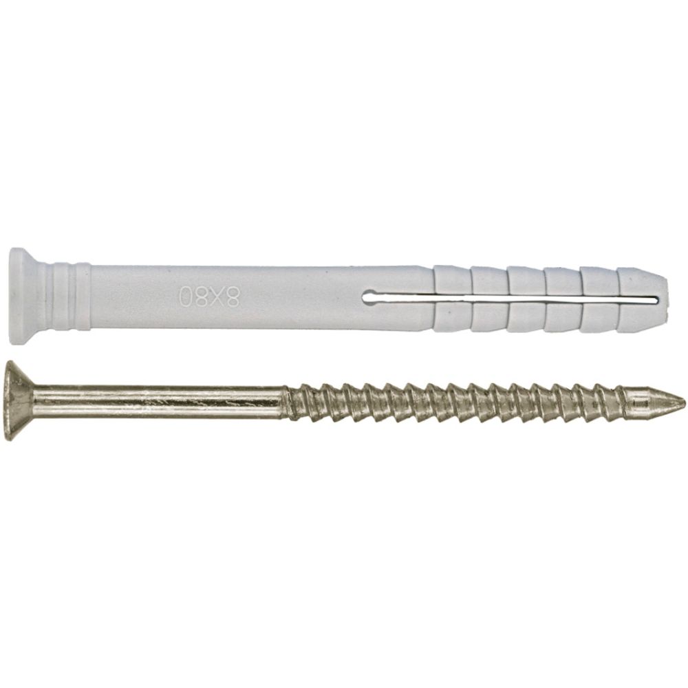 Stainless Steel Nail-In Anchor 8x60mm (10)