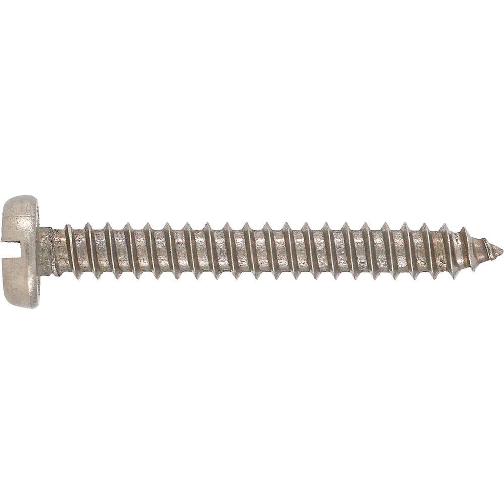 Stainless Steel Self Tapper Pan Head 4.8x50mm (10)