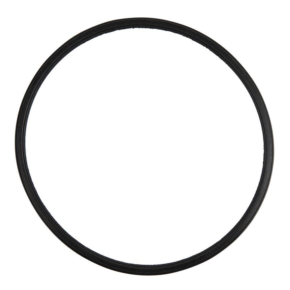 Kaufmann 800w Pool Pump Seal Gasket