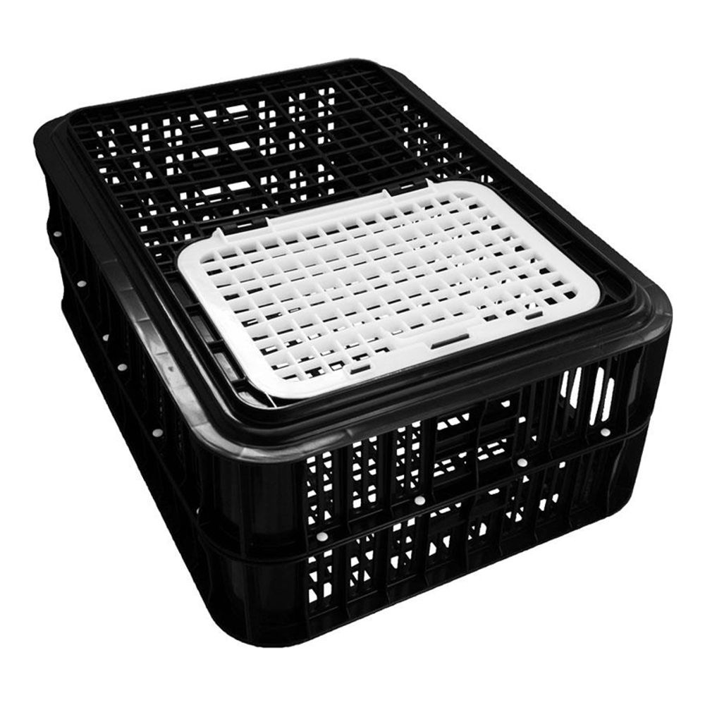 POLTEK Crate Classic Live Bird Cage Black 10 Birds