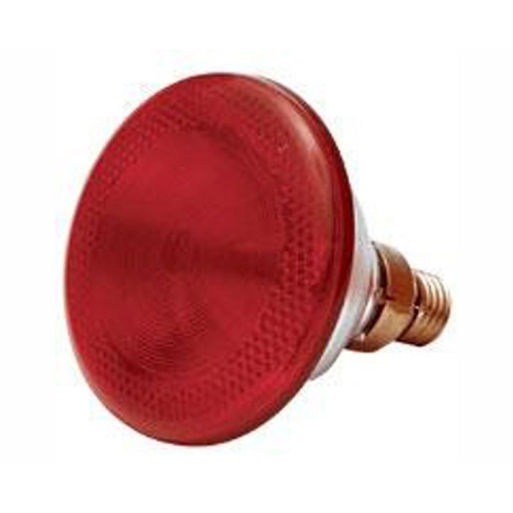 PHILIPS Lamp / Globe Infrared 175w Par38 -100birds
