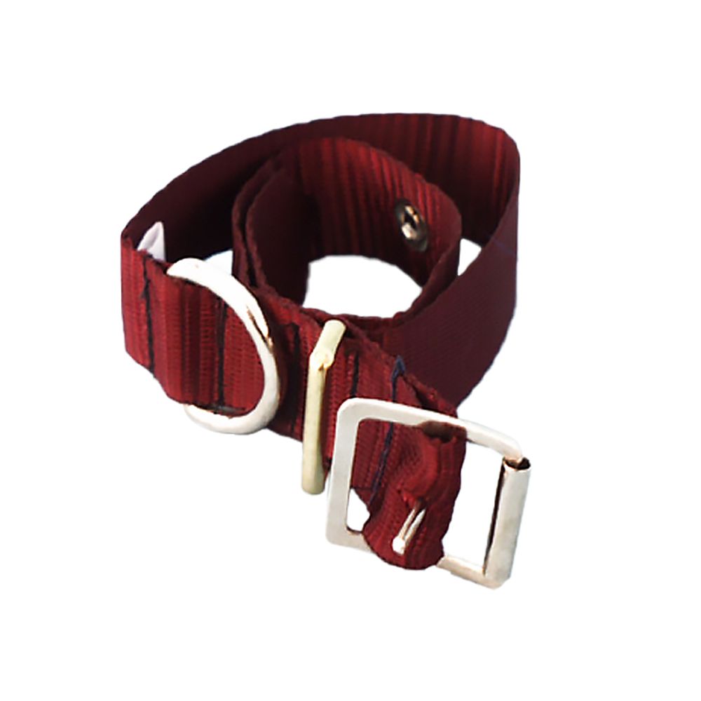 Complete Collar Nylon Medium