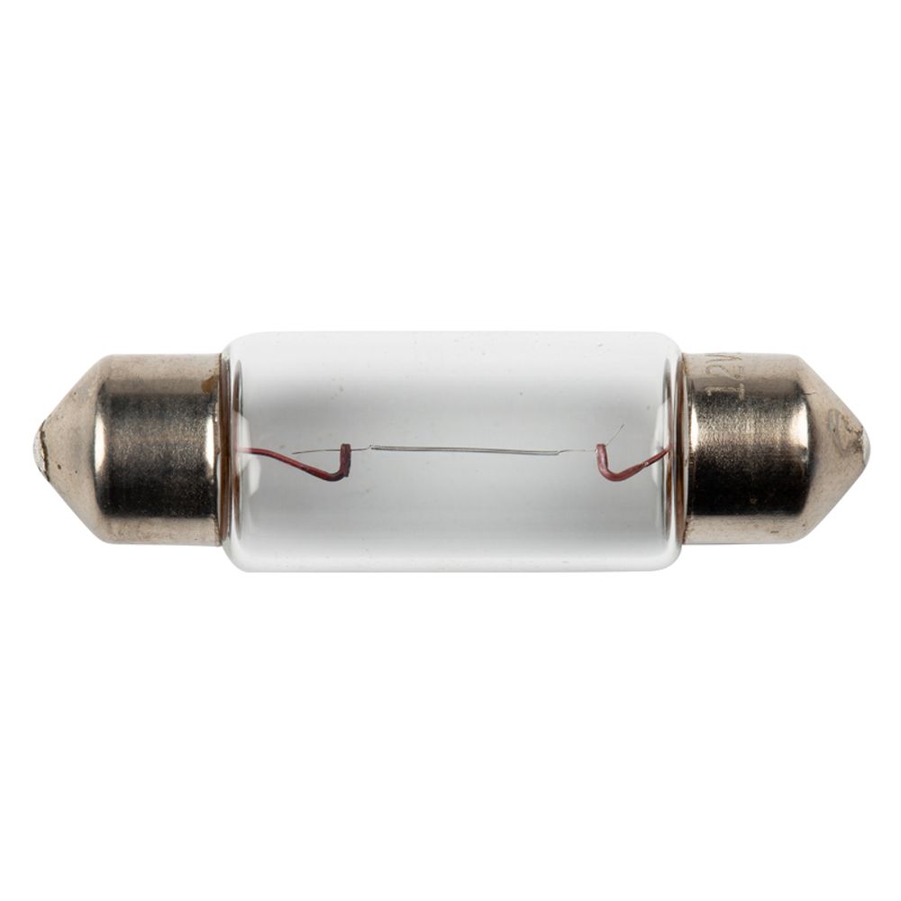 Globe Festoon 12v G254