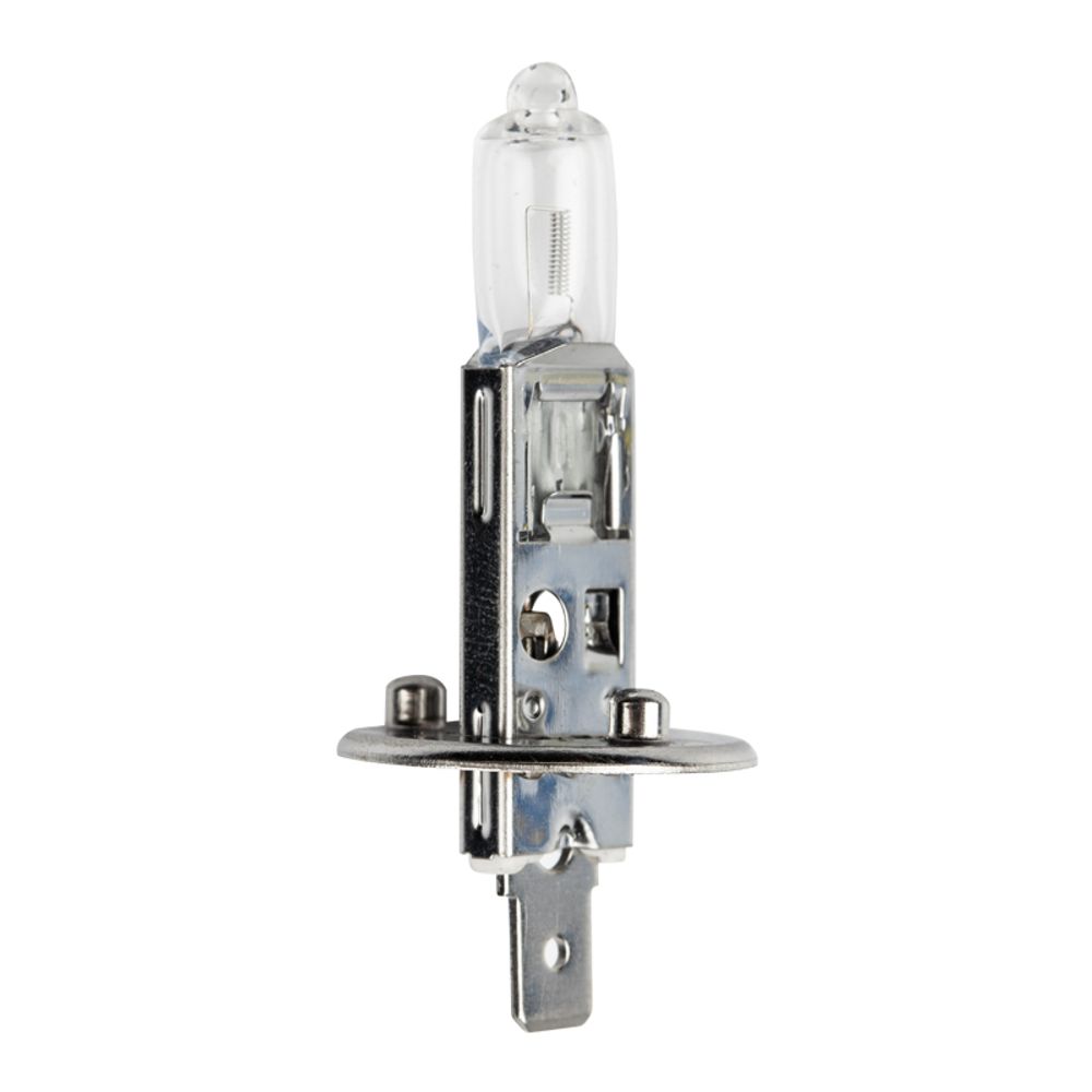 GLOBE 12V 55W HALOGEN H1 GLH1001 G1904 213040