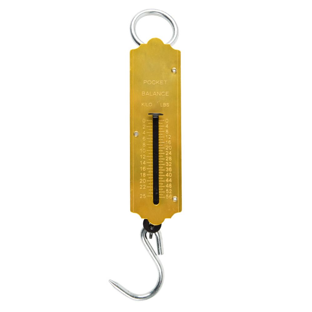 POCKET TYPE SCALE 25KG
