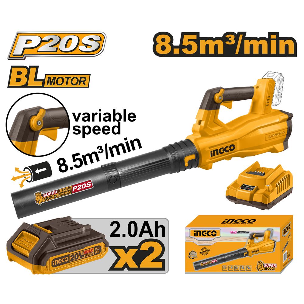 20v Ps+c/l Blower X2 2.0ah + Charger