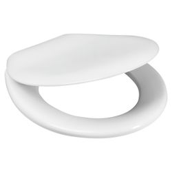 WIRQUIN Toilet Seat Club 90 Thermodur Ss Hng Wht 1