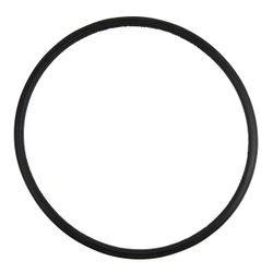 Kaufmann 800w Pool Pump Seal Gasket