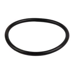Kaufmann 800w Pool Pump O-ring