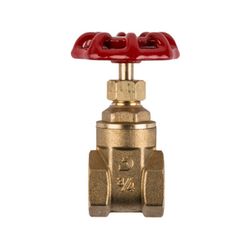 TORRENTI Gate Valve Brass Med Duty 40mm