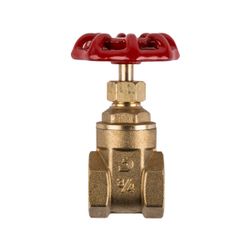 TORRENTI Gate Valve Brass Med Dty 25mm