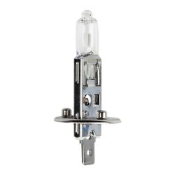 Globe 12v 55w Halogen H1 Glh1001 G1904 213040