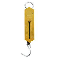 Pocket Type Scale 25kg