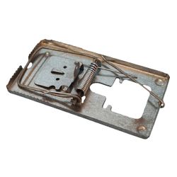 Rat Trap