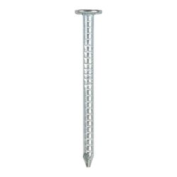 Nails Clout 40mm 1kg Pre-pack