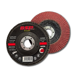 BINIC Eco Flap Disc 115x22-24x16mm (60) 10pc