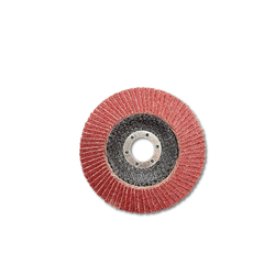 BINIC Eco Flap Disc 115x22-24x16mm (60) 10pc