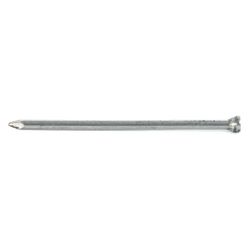 Panel Pins 40mm (50g)