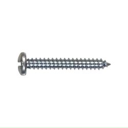 Stainless Steel Self Tapper Pan Head 4x19mm (10)
