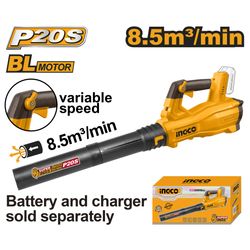 20v Ps+c/l Aspirator Blower Bm