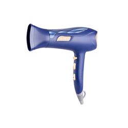 Hair Dryer Ionic Function 1800-2200w & Acc Blue