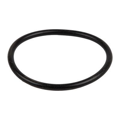 KAUFMANN 800W POOL PUMP O-RING