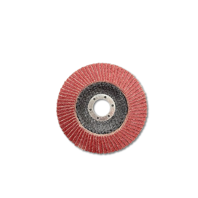 BINIC Eco Flap Disc 115x22-24x16mm (60) 10pc