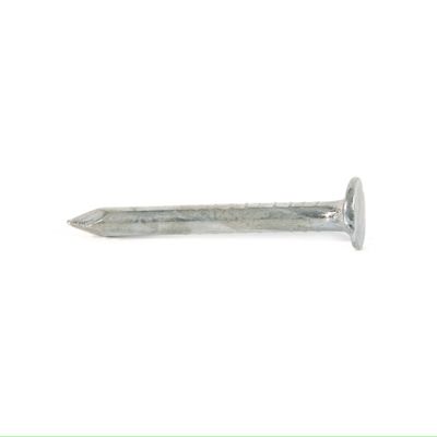 Clout Nail 25mm (50g)