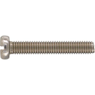 Stainless Steel Machine Screw Cheese Head 6x30mm (10)