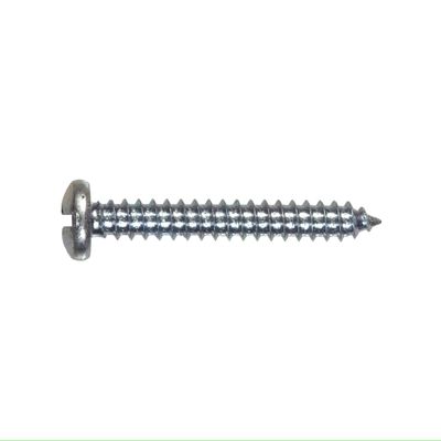 Stainless Steel Self Tapper Pan Head 4x38mm (10)