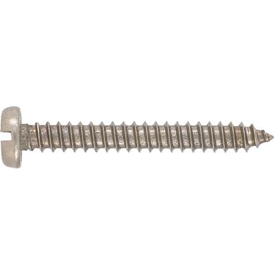 Stainless Steel Self Tapper Pan Head 4.8x19mm (10)