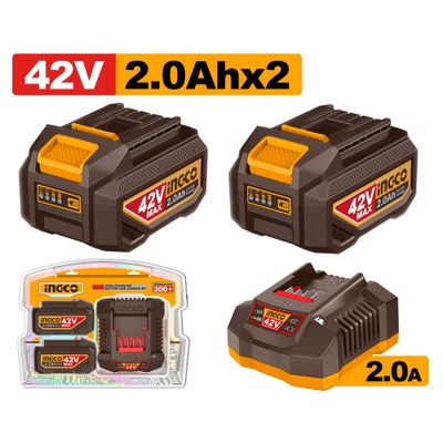 42v Ps+c/l 2.0ah 2pcss + Charger Kit