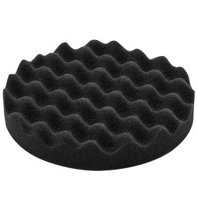 Polishing Sponge Ps Stf D80x20 Ba-5 W
