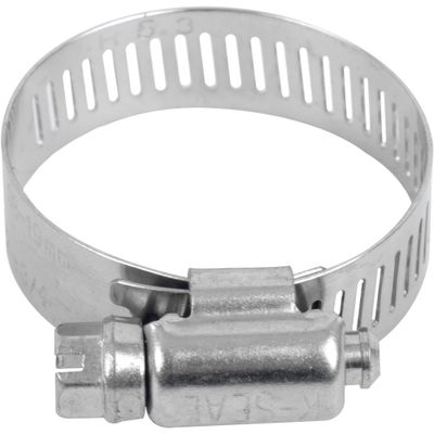 Hose Clamp 300 S/steel 19-38mm Bulk Each