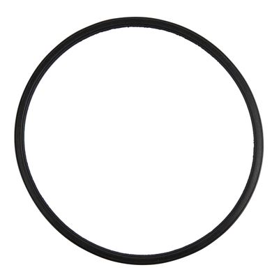 Kaufmann 800w Pool Pump Seal Gasket