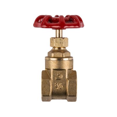 TORRENTI GATE VALVE BRASS MED DTY 25MM