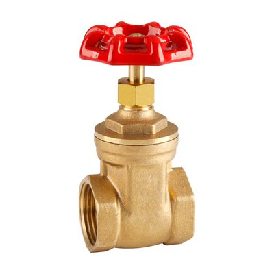 TORRENTI Gate Valve Brass H/duty 50mm