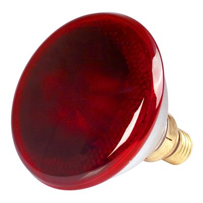 PHILIPS LAMP / GLOBE INFRARED 175W PAR38 -100BIRDS