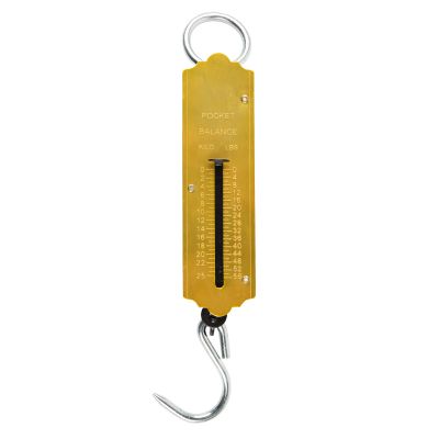 Pocket Type Scale 25kg
