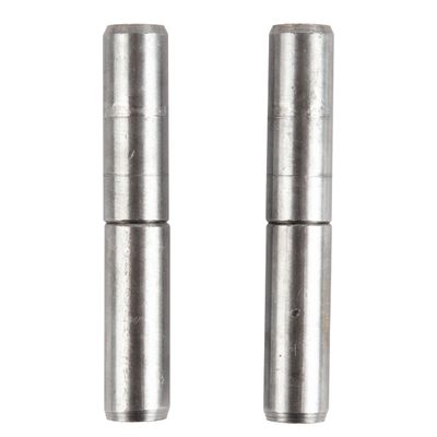 Bullet Hinge 70x12 Each