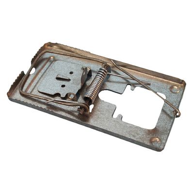 Rat Trap