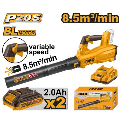 20v Ps+c/l Blower X2 2.0ah + Charger
