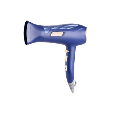 Hair Dryer Ionic Function 1800-2200w & Acc Blue