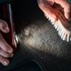A0476 LABOCOSMETICA Floor Carpet Brush
